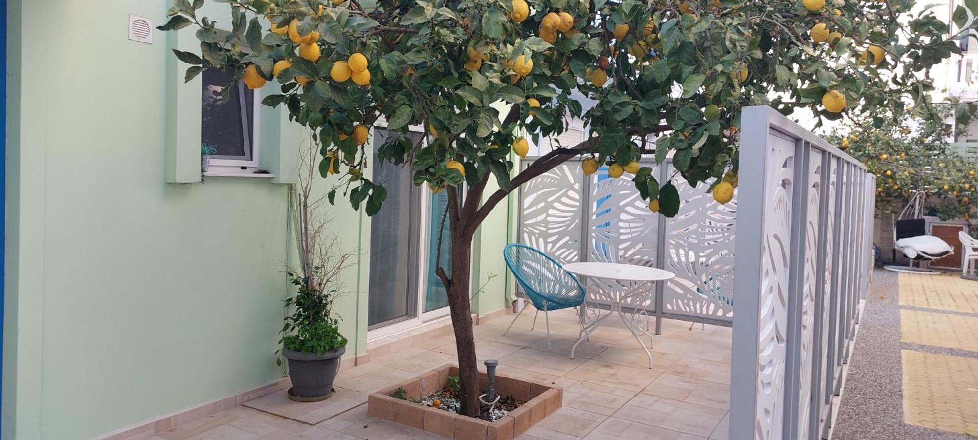 The Sky Yard Eclectic Studios Rhodes City Extérieur photo